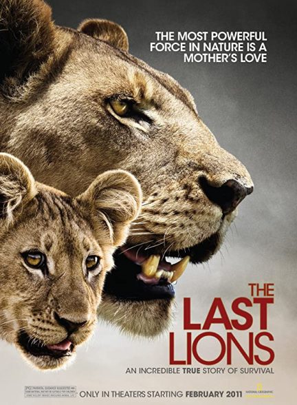 مستند. آخرین شیرها 2011 The Last Lions