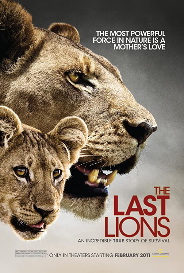 مستند. آخرین شیرها 2011 The Last Lions