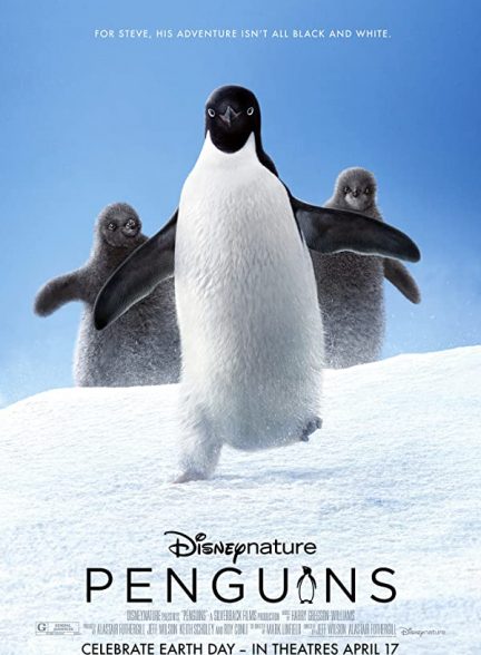 مستند پنگوئن ها 2019 Penguins