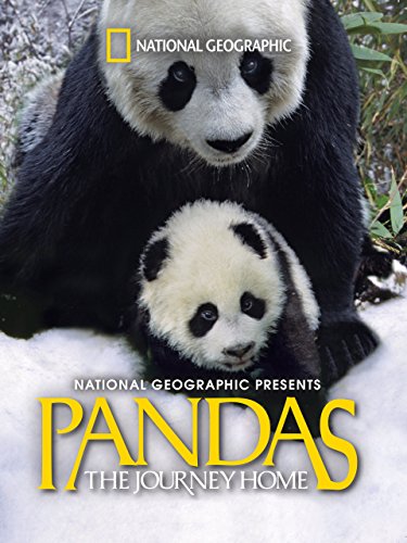 مستند پانداها: بازگشت به خانه 2014 Pandas: The Journey Home