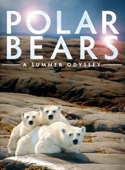 مستند خرسهای قطبی : یک سفر تابستانی Polar Bears: A Summer Odyssey