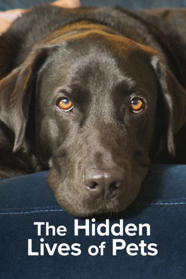 مستند زندگی‌های پنهان حیوانات خانگی ما The Hidden Lives of Pets