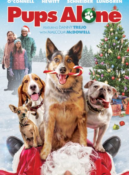 فیلم سگ‌های تنها در خانه 2021 Pups Alone