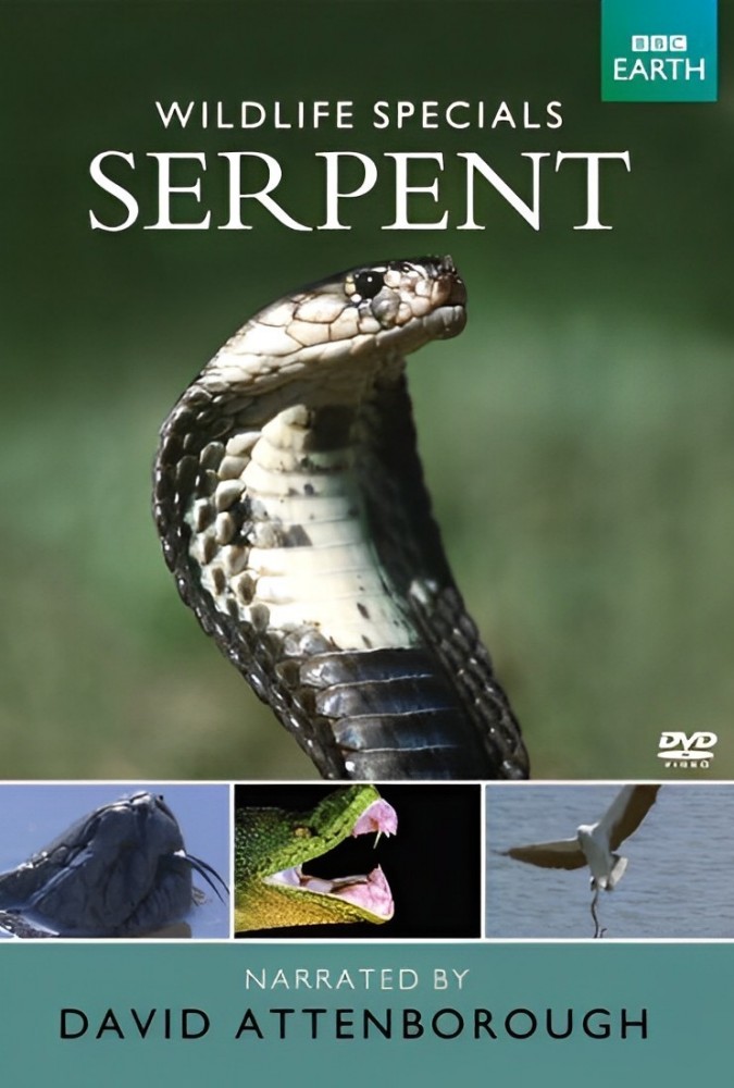 مستندحیوانات استثنایی: مار wildlife special Serpent