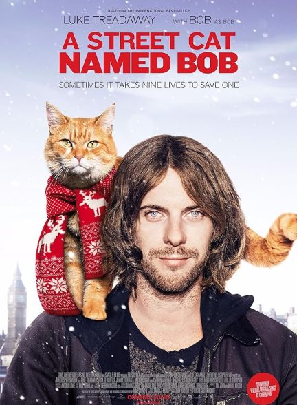 فیلم گربه خیابانی به نام باب A Street Cat Named Bob
