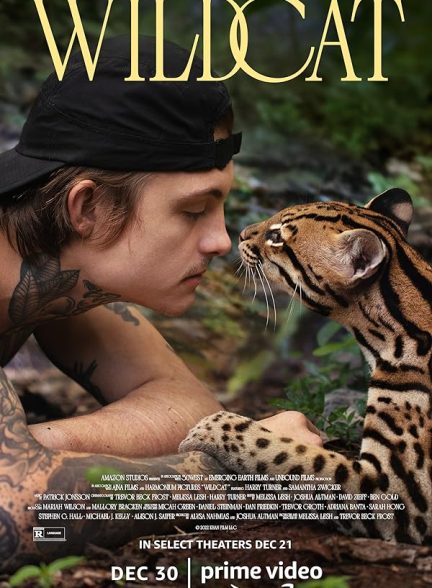 مستند گربه وحشی Wildcat