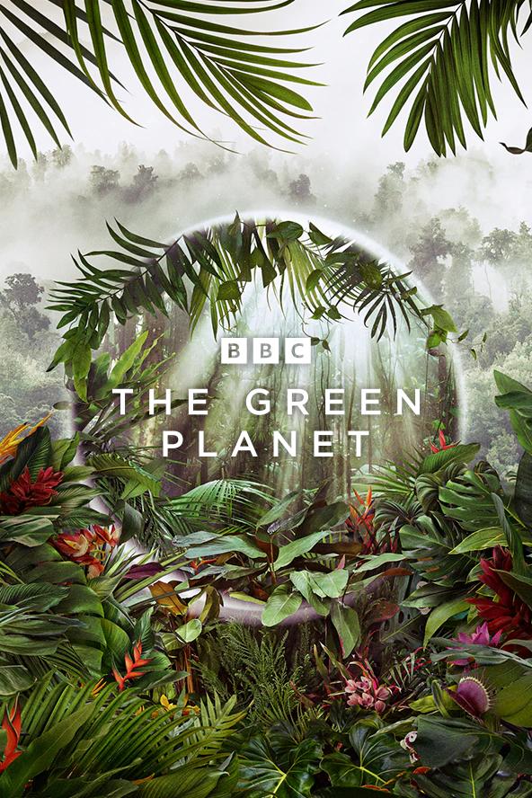 مستند سیاره سبز The Green Planet 2022
