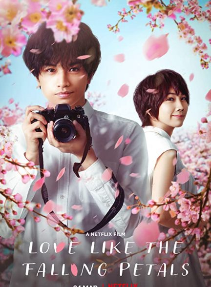 فیلم عشقی مثل گلبرگ های در حال ریزش 2022 Love Like the Falling Petals