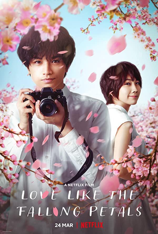 فیلم عشقی مثل گلبرگ های در حال ریزش 2022 Love Like the Falling Petals