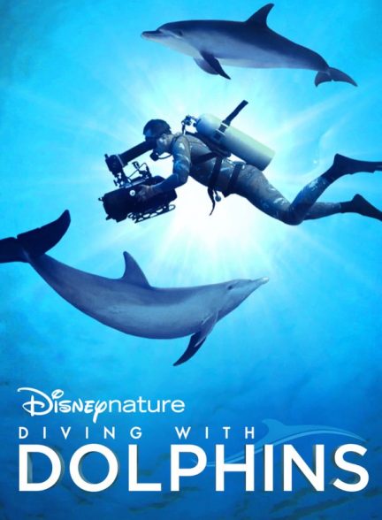 مستند غواصی با دلفین ها 2020 Diving with Dolphins