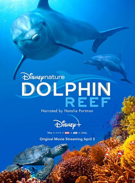 مستند صخره دلفین 2018 Dolphin Reef