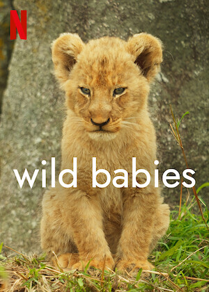 مستند بچه های حیات وحش 2022 Wild Babies