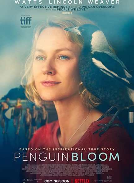 فیلم شکوفایی پنگوئن 2020 Penguin Bloom