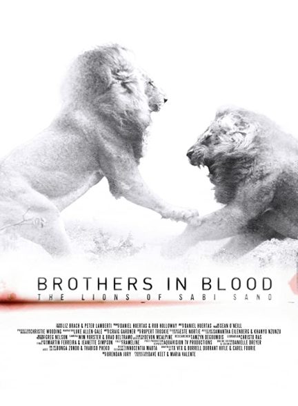 مستند برادران تنی: شیر‌های سابی سند Brothers in Blood: The Lions of Sabi Sand