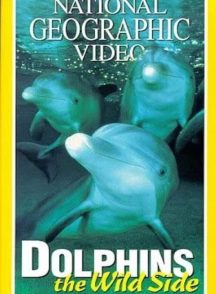 مستند دلفین‌های وحشی Dolphins: The Wild Side