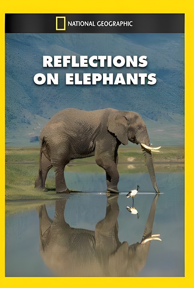 مستند بازتاب فیل‌ها Reflections on Elephants