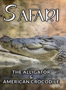 مستند سافاری: تمساح و کروکودیل آمریکایی The Alligator & American Crocodile