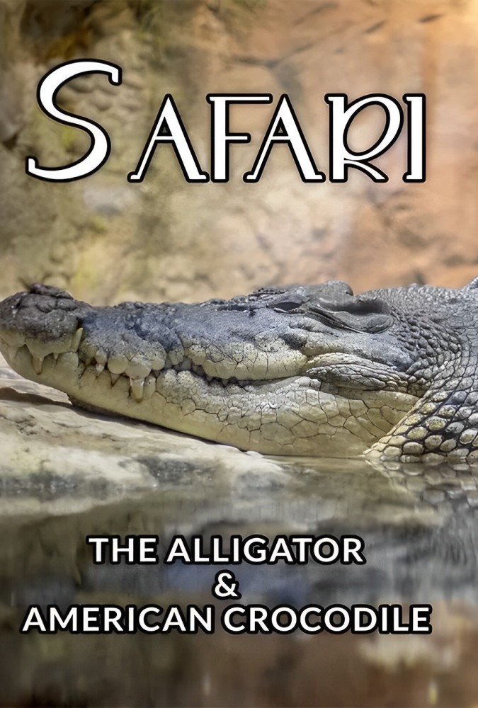 مستند سافاری: تمساح و کروکودیل آمریکایی The Alligator & American Crocodile
