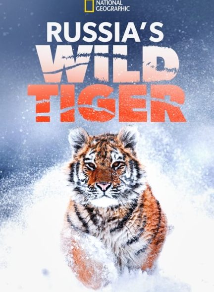 مستند ببر وحشی روسیه Russia’s Wild Tiger